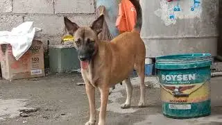 Mag kaganapan sa Labas Ng Bahay