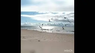 Рожденные 29 числа