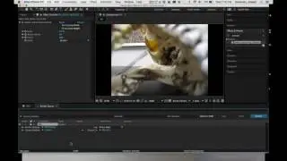 After Effects for Stop Animation Intro 3