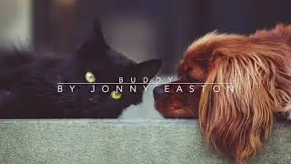 Buddy - Playful Orchestral Music - Royalty Free