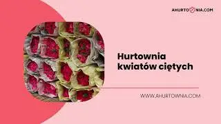 Hurtownia kwiatów ciętych Bydgoszcz Ahurtownia.com Mateusz Smolarek