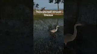 Остров Ольхон. #байкал #природа #ольхон #путешествия