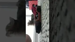 18 октября 2023 г.
