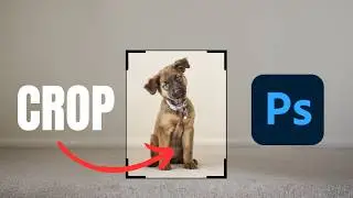 How To Crop Images In Photoshop (2 Ways)