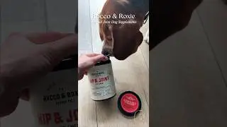 Enhance Your Dog's Mobility with Rocco & Roxie Hip & Joint Vitamins! 🐕💊