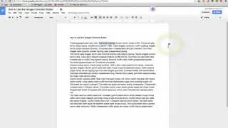 How to Use the Insert Comment Button