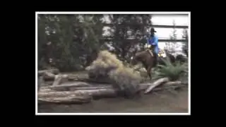 Mark Bolender Winning Speed Run 2010 Ntl Mtn Trail Championships