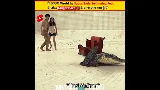 Kya ये ADMI Magarmach🐊 wale Swimming pool se JINDA Bach paega #shorts #short