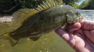 Fox River Fishing Is the dam destroyed? Last time fishing here?