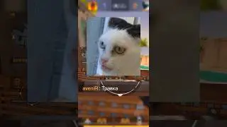Ютубер учит играть новичка в #standoff2 😨😨😨 2 Часть