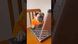 пытаюсь понять