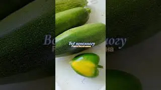 ПОЧЕМУ не зреют помидоры?