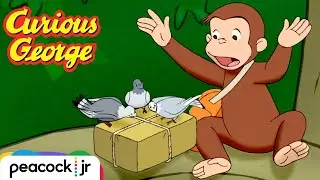 George's Big Delivery! | CURIOUS GEORGE