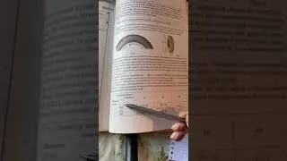 ОГЭ 2021 вариант 16