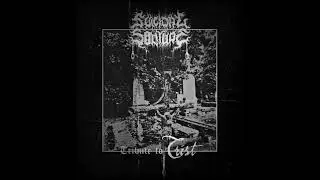 Suicidal Solitude - Stíny (Trist cover)