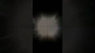 зачем они назвали меня без мамным ?