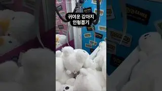 귀여운 강아지 인형뽑기 #인형뽑기 #뽑기 #뽑기뽀끼 #뽑기꿀팁  #광주오락실 #오락실 #광주데이트 #clawmachine  #cranegame