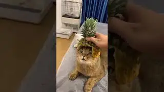 Летняя шапочка
