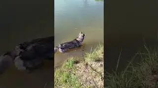 Купальный сезон открыт!