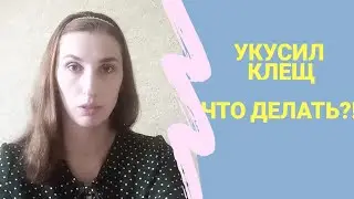 Укусил клещ. Что делать при укусе клеща.