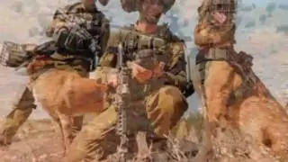 Oketz - IDF Special Forces - My IDF Unit