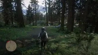 Evelyn Millers death red dead redemption 2