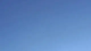 ek bacha beri falcon le gai ustad ka
