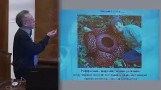 Ким А. И. - Генетика - Целенаправленное изменение организмов. Генетический анализ