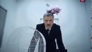 Голубь (Сериал След)
