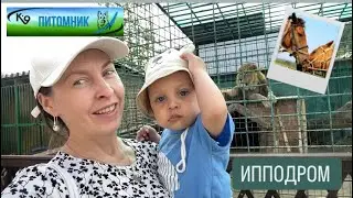 ИППОДРОМ ДЛЯ ДЕТЕЙ | ИРКУТСК ПИТОМНИК К9 | ВЛОГ