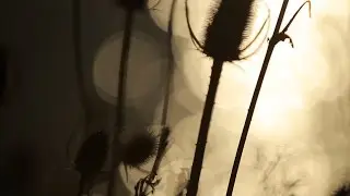 Full Circle