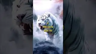 5 Câu cửa miệng của kẻ thất bại