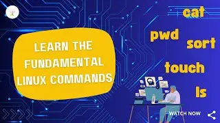 Linux basic commands You have to know