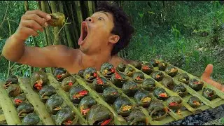 survival in the rainforest snale Eating delicious