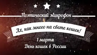 Ах как много на свете кошек - поэтический микрофон