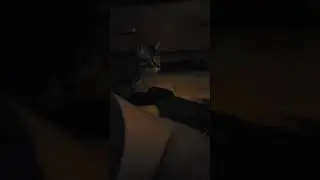 Caché caché