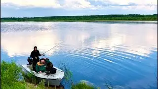 We didn't expect such a bite. We have guests. Fishing in the north.
