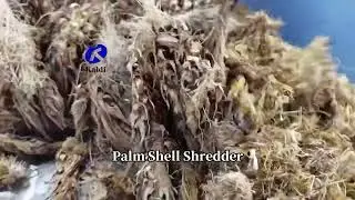 Single shaft shredder shredding palm shell#shredder #machine #singleshaftshredder  #factory