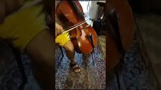 Sound sample 2 Violoncello Stelio Rossi, Siena 1983