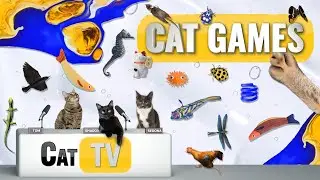 Cat Games Ultimate Cat TV Compilation Vol 74 | 2 HOURS 🐝🐞🦋🦎🦜🐜🐭🧵