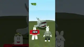 물고기 VS 악어