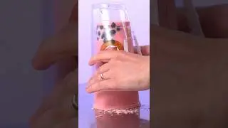 This Tasted So Good
