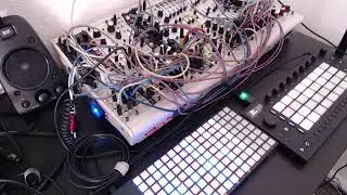 Trance and Progressive House loops