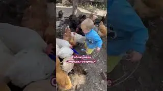 Очень маленький фермер 