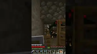 Minecraft 1.16.5 - обустройство спавнера [ядовитых] пауков