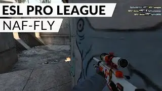 ESL Pro League Season 4: NAF-FLY vs. Winterfox