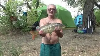 Отчет о рыбалке   Река Дон 29   30 августа