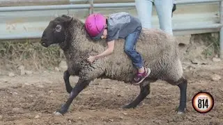 American Legion County Fair is back Sept. 1-7th