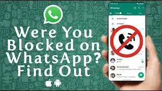 How To Know If Someone Muted You On WhatsApp