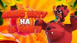 15 ранг НИТА